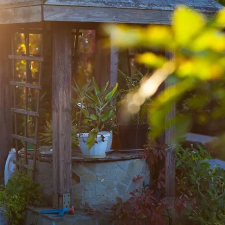 アパート Podzamcze *