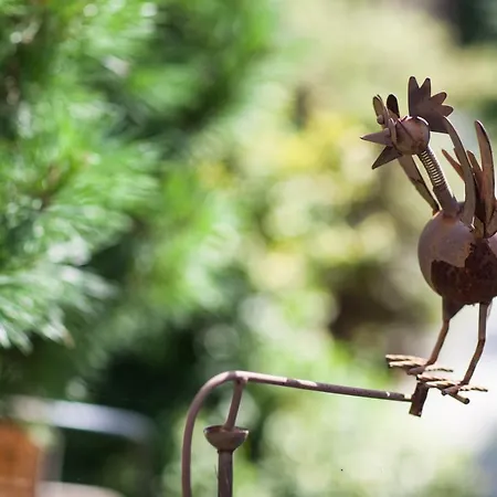 アパート Podzamcze ロジヌフ