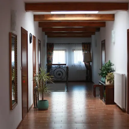 Podzamcze Apartman *